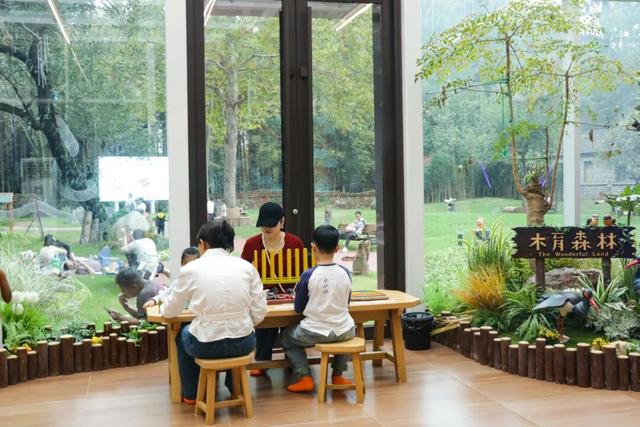 这片焦糖色的“童话森林”，美得藏不住了！