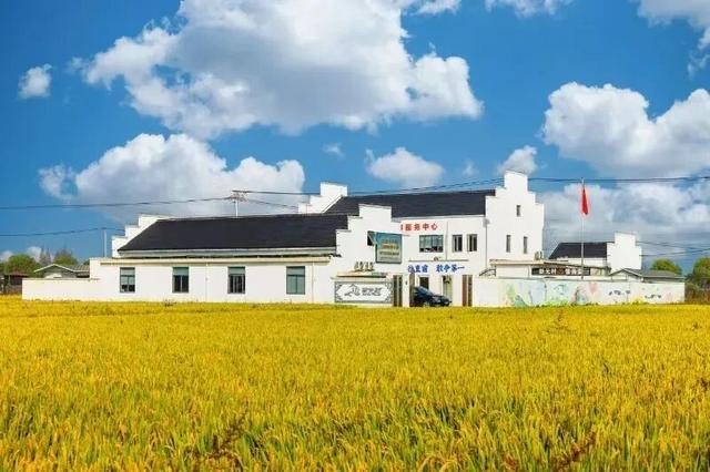 “水乡”村落、田园美食、诗意小院…打卡攻略来啦~