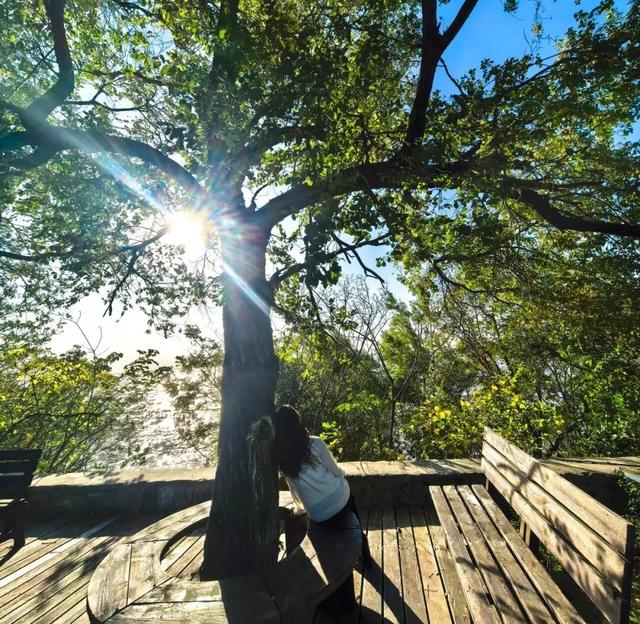 @高邮人 邀请您找寻心中的……