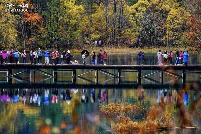九寨沟门票连续5天售罄 在红叶彩林间遇见最美四川｜我心中的锦绣天府·安逸四川