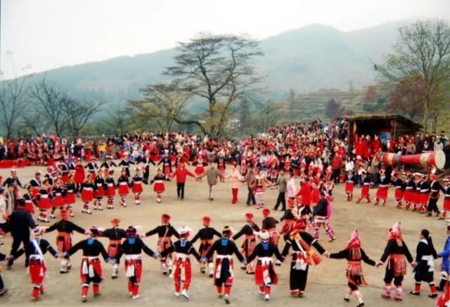 来清远的理由，不止这一个