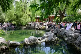 泉水直饮只争朝夕图片