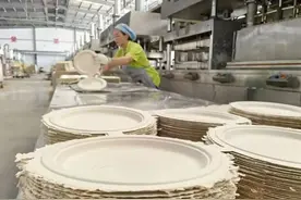 甘蔗渣“爆改”环保餐具，远销海外！丨在云南样样好图片