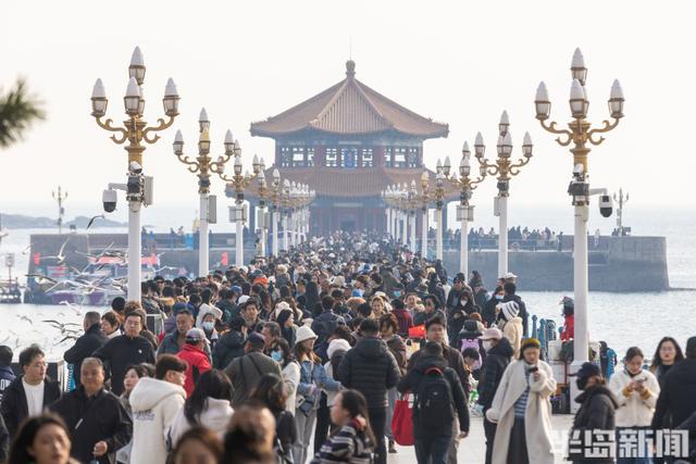 栈桥赏鸥已开始进入最佳观赏期！