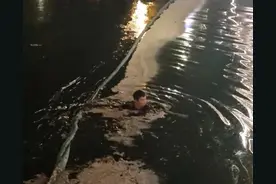 亮马河老人落水，众人联手施救！老人家属寻找热心人图片