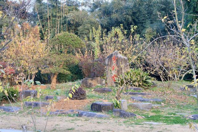 武汉东湖梅园将于元旦开园，名字含“梅”游客免费