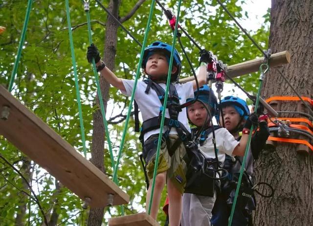 进博逛展意犹未尽？“上海之根”松江这3条主题线路，每款都藏惊喜～～～