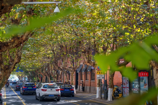 苏州吴江：上海向西半小时，遇见时尚“新江南”