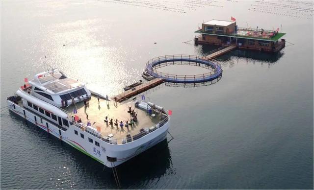 金秋重逢乐威海丨重撷硕果·趣味收获之旅