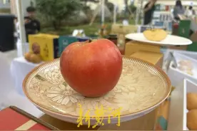 这里的苹果红得像“假的”一样，烟台展区大苹果受青睐 | 丰收看展图片