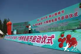 “樱为邮你”——泰山樱桃节在泰山区天宝镇开幕图片