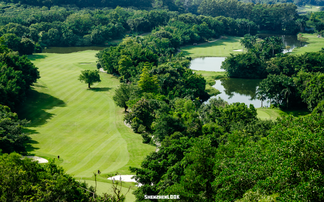 深圳环境五星的「网红公园」，不能再低调了