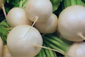 冬季把萝卜这样煮一煮，健胃助消化，还能改善皮肤干燥！好喝~图片
