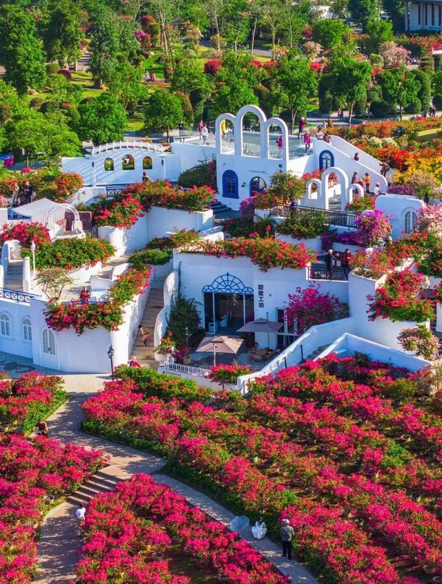 南凭高铁全线通车!广西诚邀越南游客“来中国,过周末”→