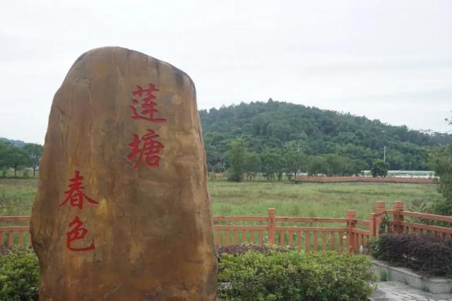 果香满溢！邂逅田园风光正当时