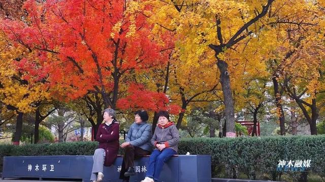 神木滨河新区秋色如画 邂逅诗意生态美景
