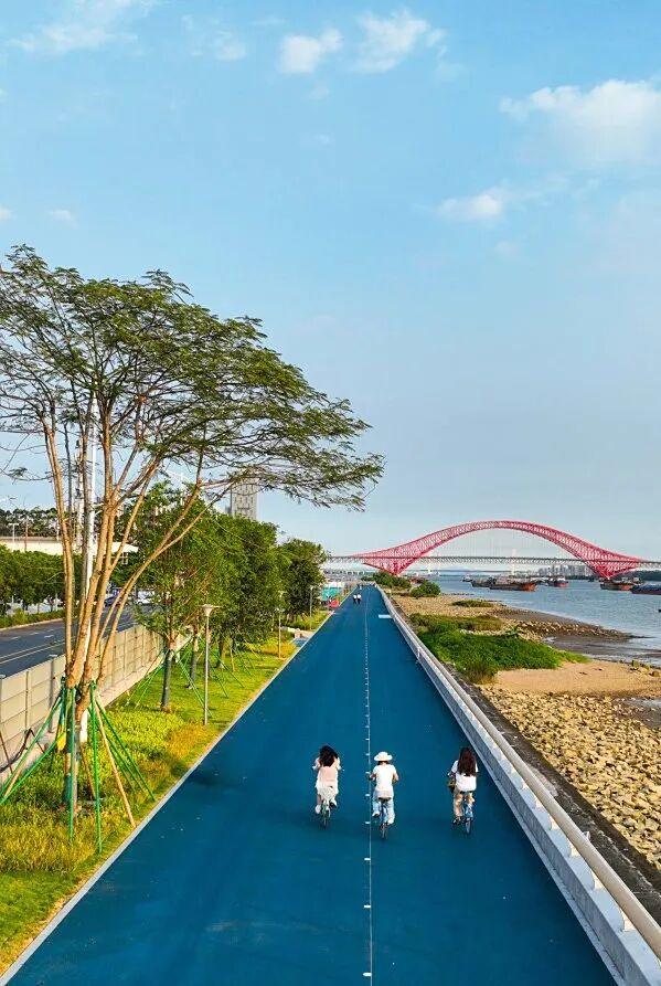 漫步南沙“情侣路”，邂逅广州最美海岸线