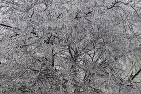 电力通信广电设施安全风险极高！湖南将迎持续性低温雨雪冰冻，省气象局发出警示图片