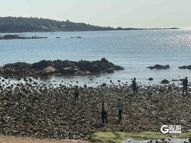 秋高气爽，青岛海边游玩正当时