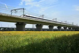 蒸煮焖淋！浙江人的夏日初体验不大美好图片