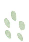 宁波植物园免费入园！