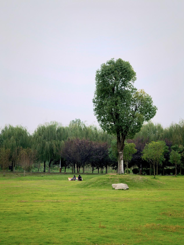 荆州赏秋地图｜不止中心城区！荆州县域秋景图鉴出炉，N个绝美点位等你来打卡！