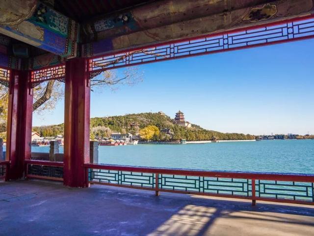 北京号最精彩 | 太惊喜！京城第一波蜡梅开啦！位置就在——