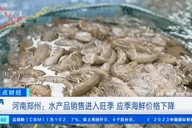 大降价！有海鲜一斤便宜20元，1000多斤梭子蟹7小时卖光图片