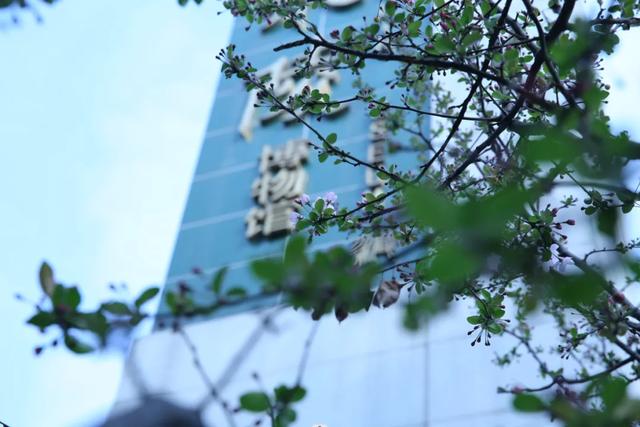金秋十月去哪儿？万千气象成都行
