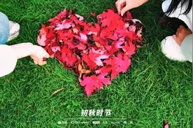 吉林寻秋记丨请尽情享受梅河的秋天吧！图片