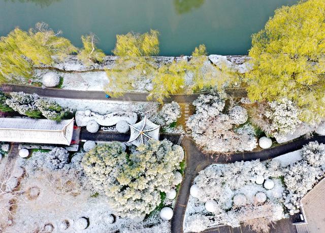 安徽涡阳雪后美景