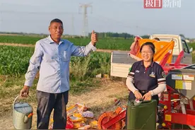 提供“惠农油”近2万吨，中国石化湖北石油支农惠农近千万元图片