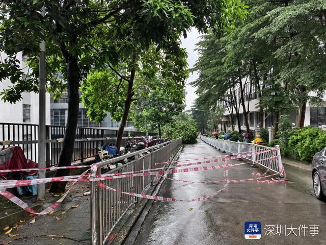 深圳一小区边坡滑塌多辆车被砸