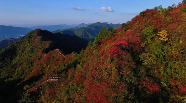 酉阳初冬美景合集：邂逅山间调色盘，每一帧都是壁纸！