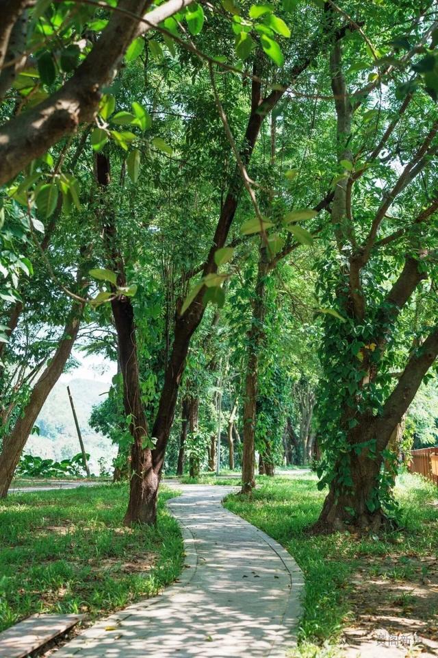 抓住节日的尾巴,缓游、慢游、悠游南沙~