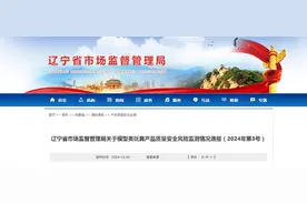 辽宁省市场监督管理局通报模型类玩具产品质量安全风险监测情况（2024年第3号）图片