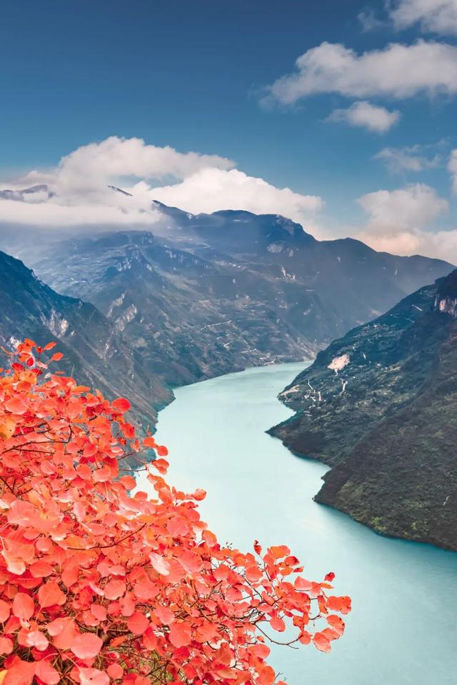 11月最应该去哪里旅行？