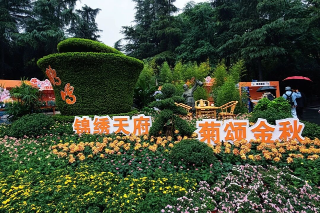 已开，免费！10万盆菊花、超多精彩活动等你来