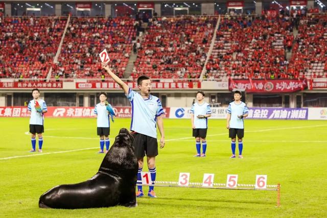 拔节生长，大王山有了新的模样