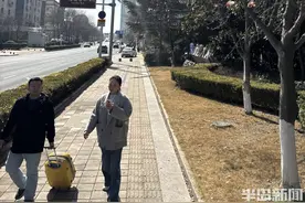 玉兰花绽放街头图片