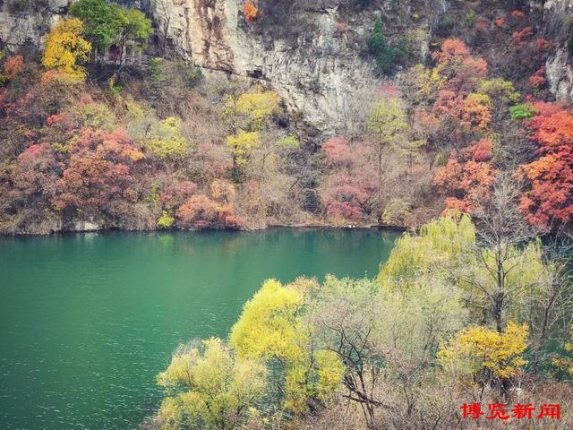 趣味无穷！秋日淄博博山赏红叶，这些打卡地玩法多样超好玩！