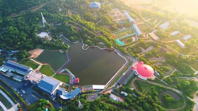 江宁“疯狂动物城”