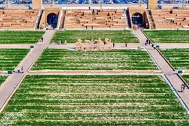 女性免门票、同行男性半价，河南多景区宣布→图片