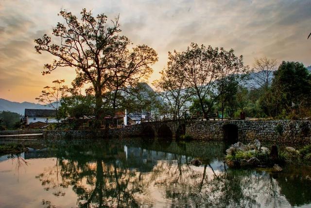 一口金桔甜，解锁融安初冬的N种玩法