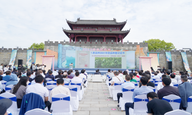 风景这边独好！2025浮梁文旅精彩瞬间