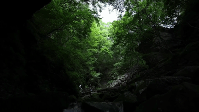 避暑需求撬动县域游“清凉”出圈