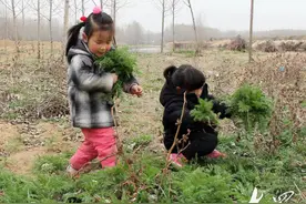 最忆是乡间|种菜图片