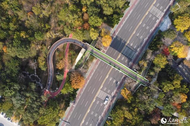 行进中国丨绿道蜿蜒处，山色入城来