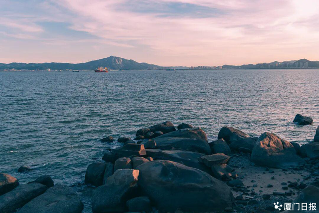 为什么是厦门？