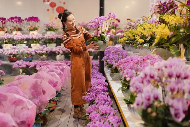 广州花胶批发市场在哪里 2026年广州最大的花胶批发市场